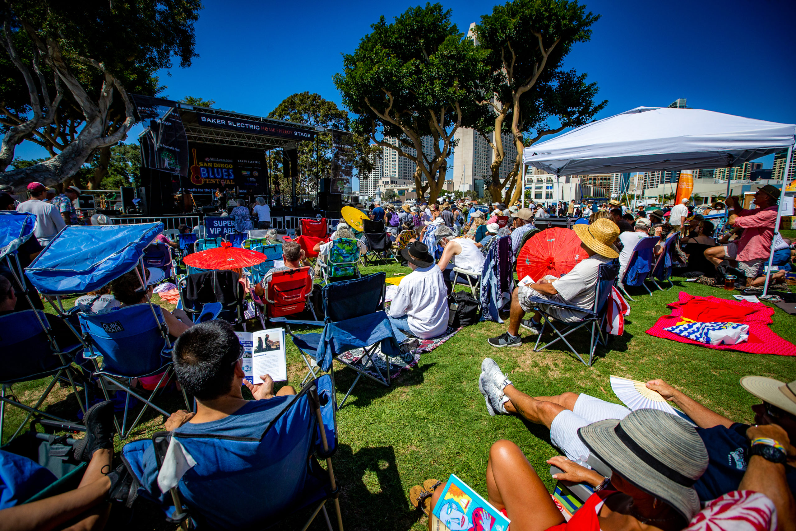 SD Blues Fest-170 - Jacobs & Cushman San Diego Food Bank