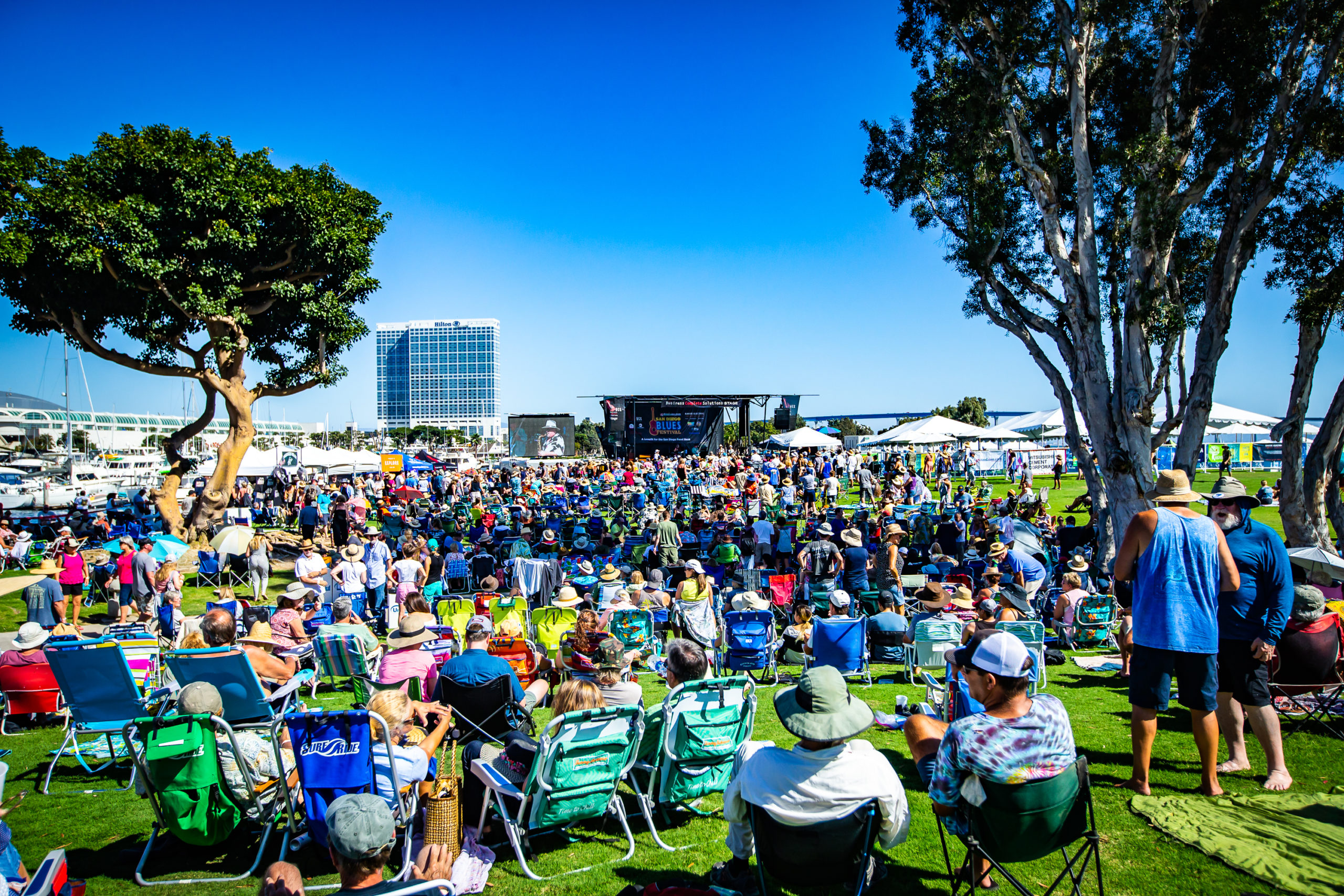 SD Blues Fest-203 - Jacobs & Cushman San Diego Food Bank