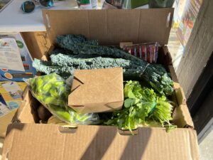 FoodShed Produce Box